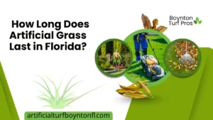 How Long Does Artificial Grass Last in Florida –Top Tips