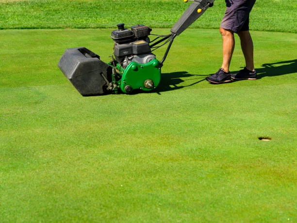 Expert artificial turf maintenance service provider