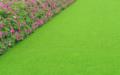 Backyard Artificial Turf Installation