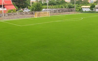 Commercial turf installation for business properties