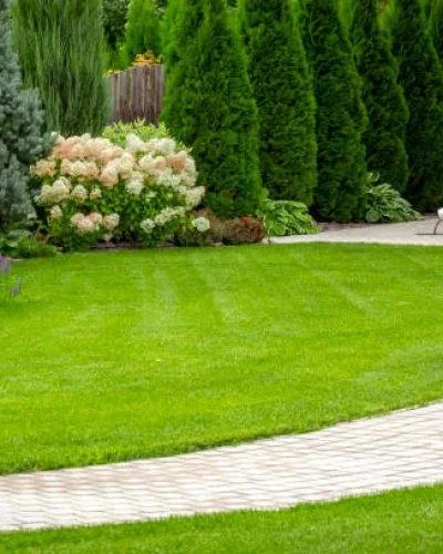 Custom fake grass setup in Boynton Beach